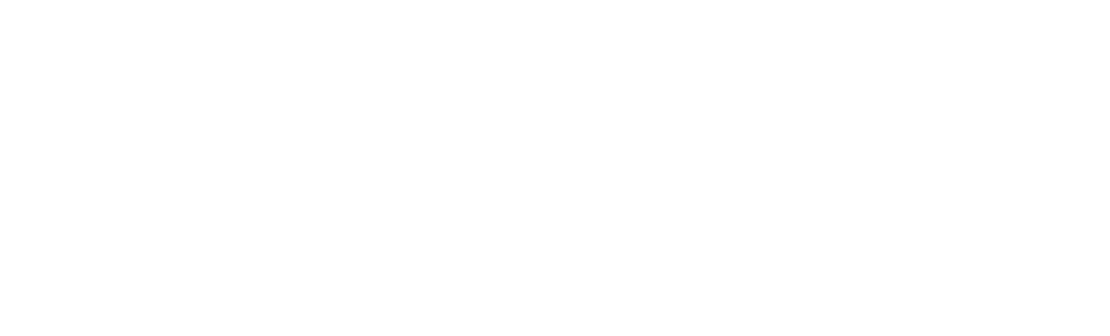 acer-2.png
